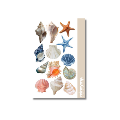 Seashell Collection Sticker, Etiket