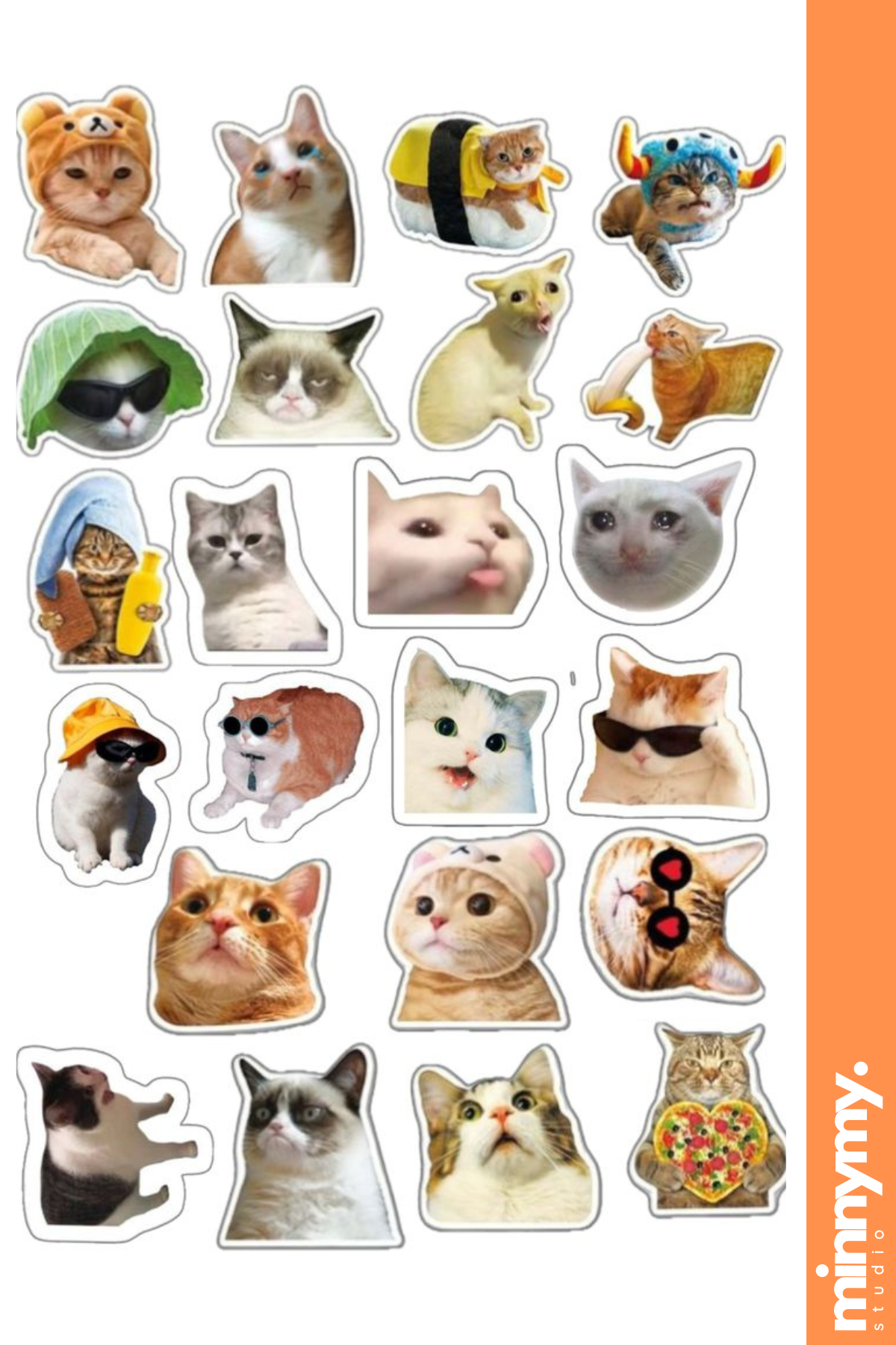 Funny Cat Sticker, Etiket