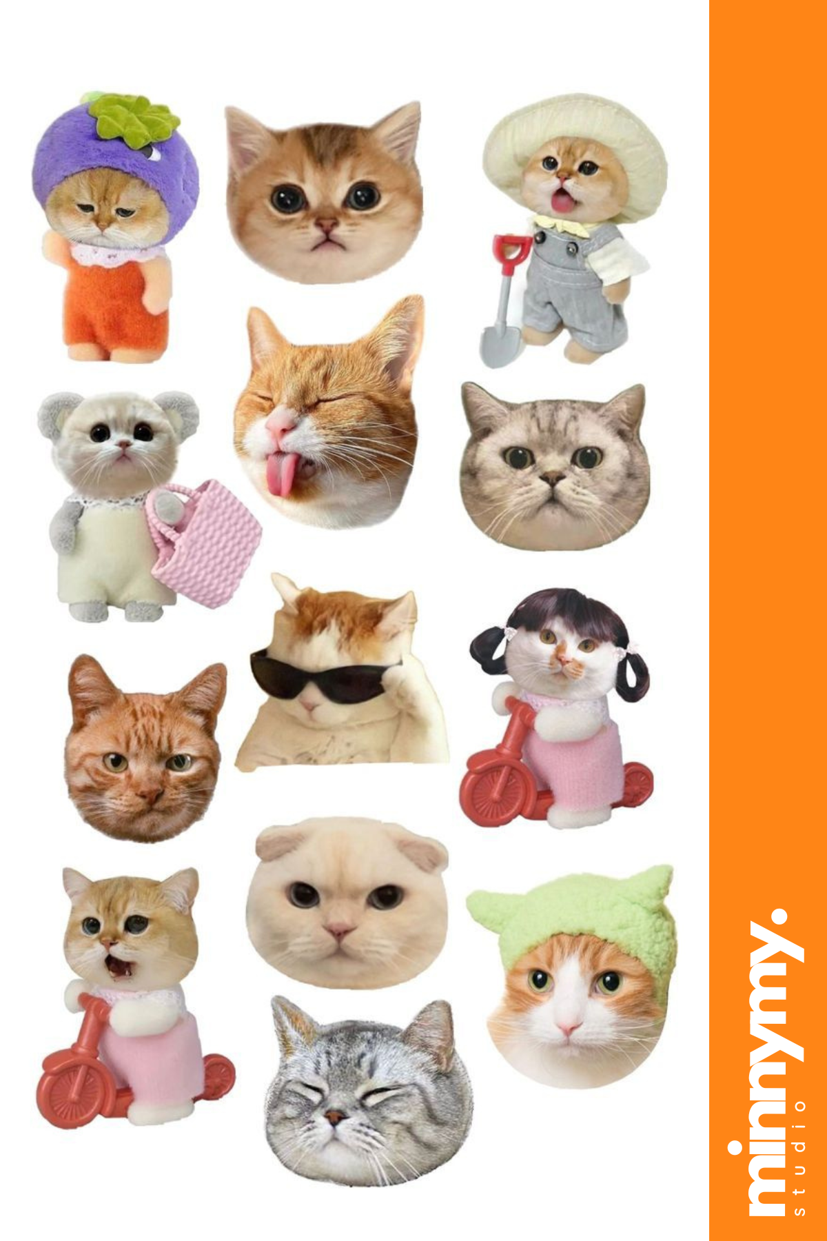 Funny Cat Sticker, Etiket