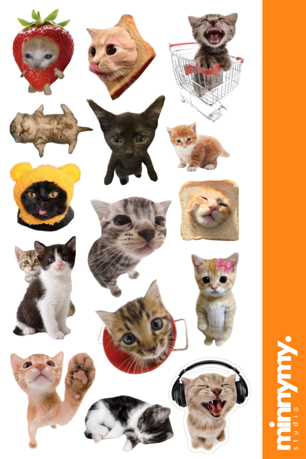 Funny Cat Sticker, Etiket