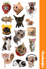 Funny Cat Sticker, Etiket