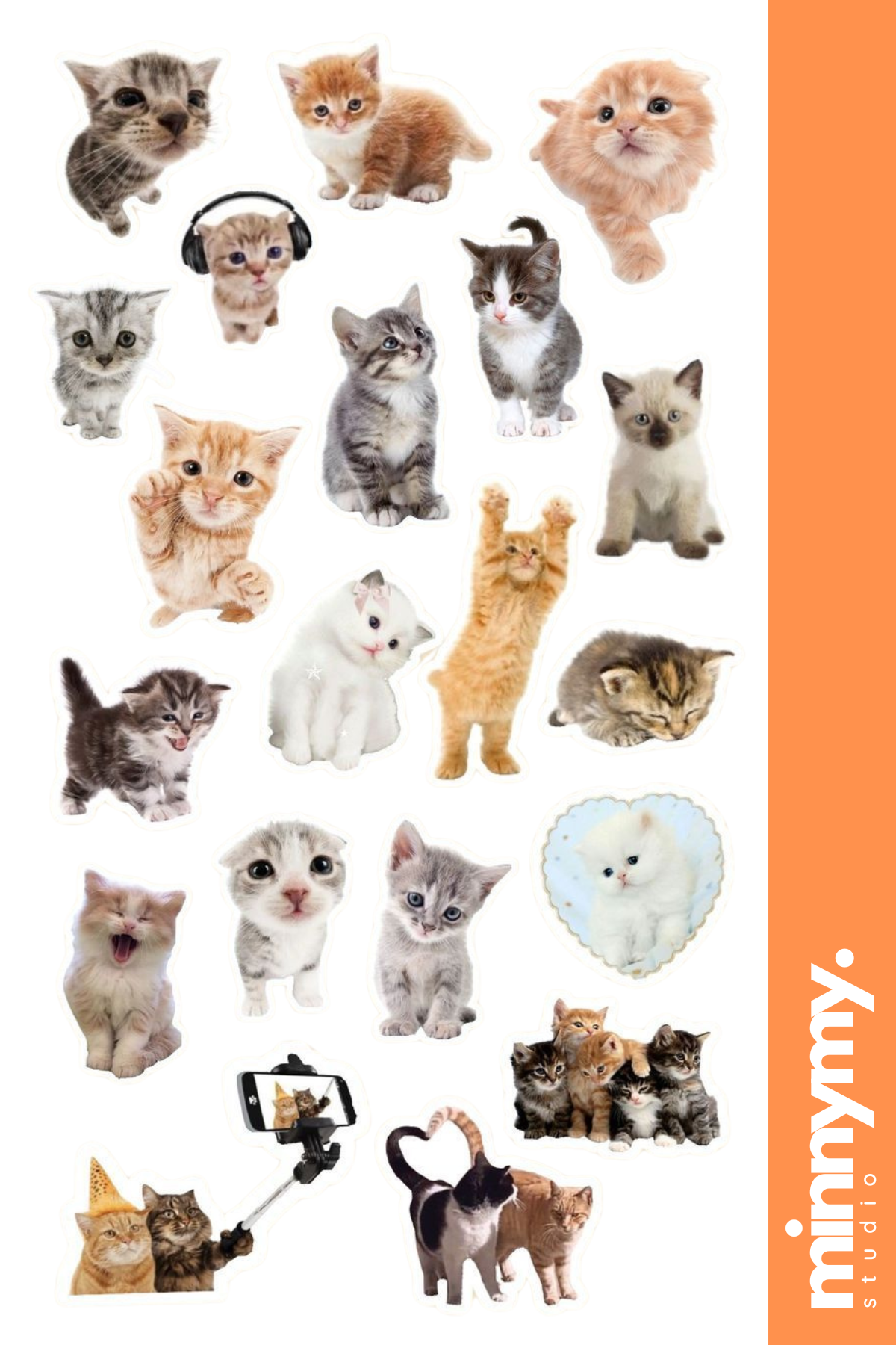 Funny Cat Sticker, Etiket