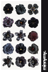 Flower Collection Sticker, Çıkartma