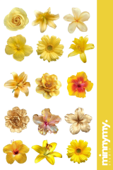 Flower Collection Sticker, Çıkartma