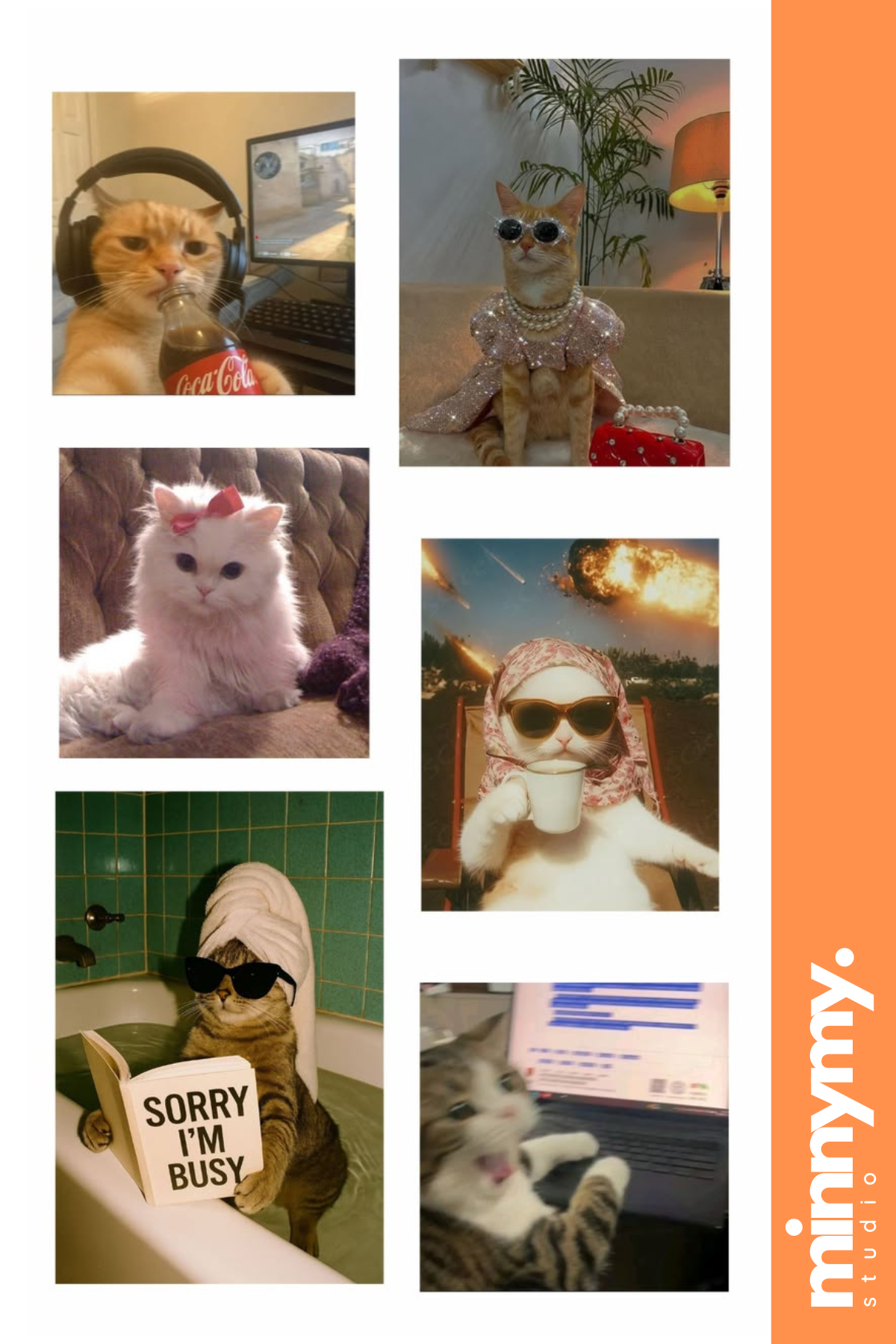 Funny Cat Sticker, Etiket